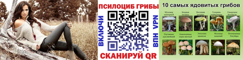 Галлюциногенные грибы Magic Shrooms  МЕГА tor  Задонск 